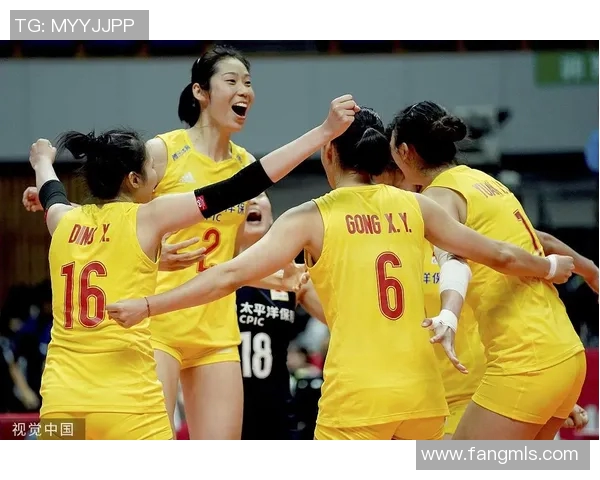 成都排球队的拼搏之路：世界杯背后的奋斗与荣耀