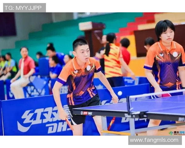 南京乒乓球队的崛起与发展探索乒乓球运动的力量与魅力